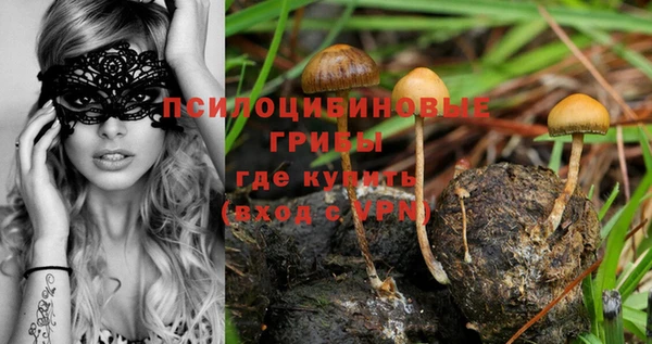 ешки Горняк