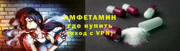 ешки Горняк