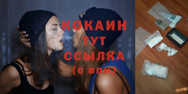 крисы Горно-Алтайск