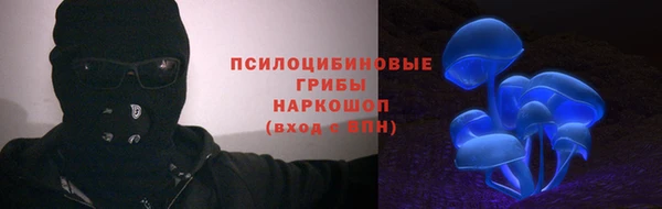 ешки Горняк