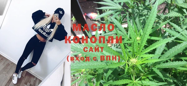 ешки Горняк