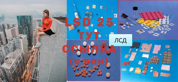 ешки Горняк