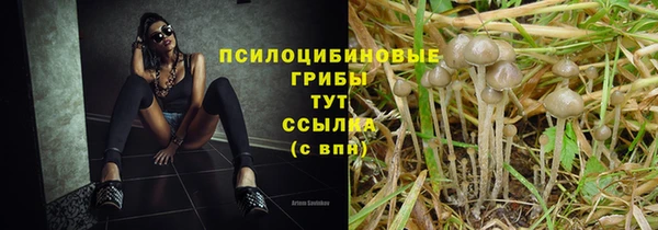экстази Горнозаводск