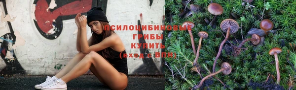 крисы Горно-Алтайск