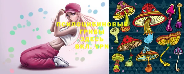 ешки Горняк